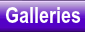 Galleries Link